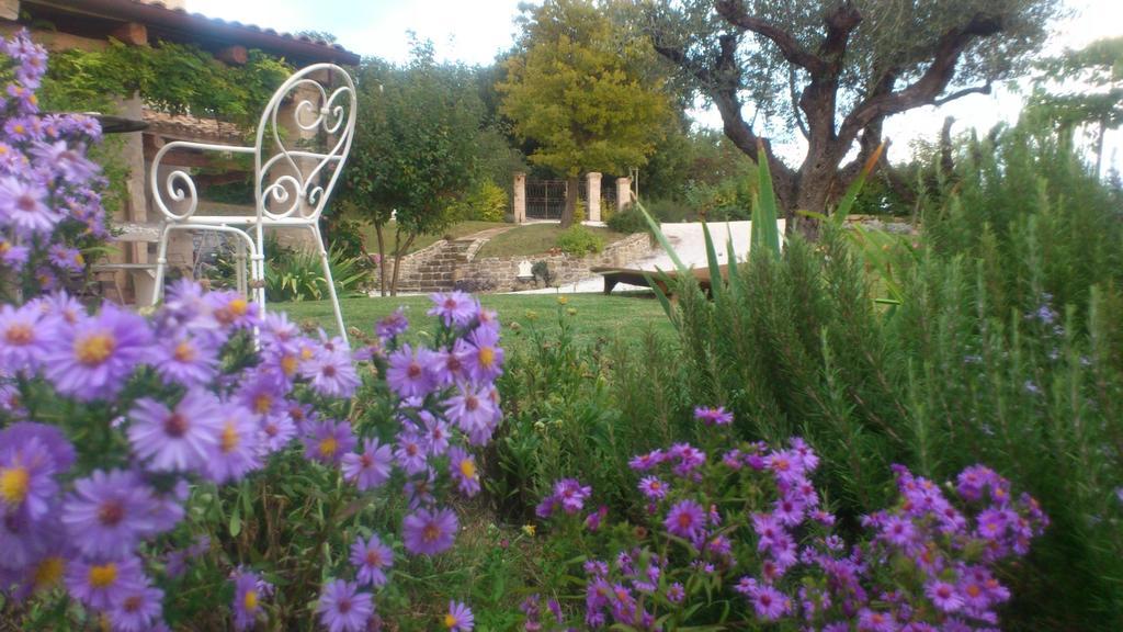 Poggio Dei Prugnoli Bed & Breakfast Tavoleto Exterior foto