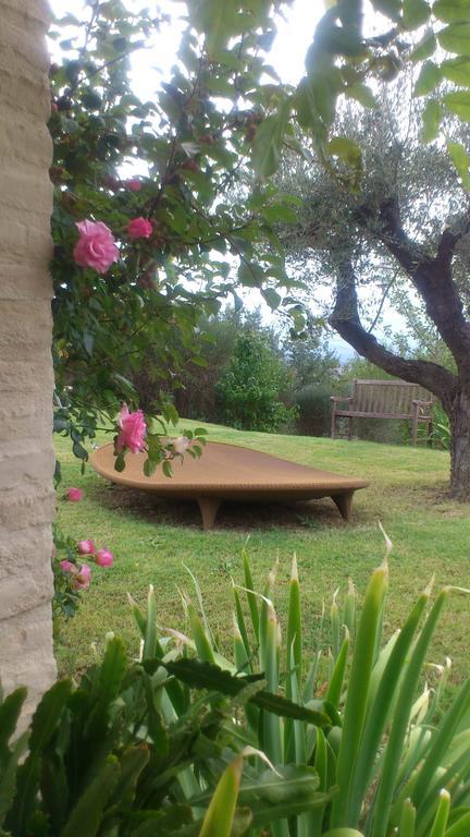 Poggio Dei Prugnoli Bed & Breakfast Tavoleto Exterior foto