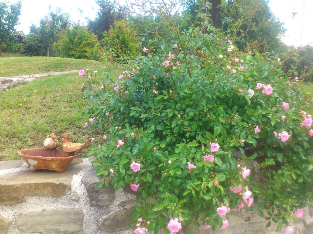 Poggio Dei Prugnoli Bed & Breakfast Tavoleto Exterior foto
