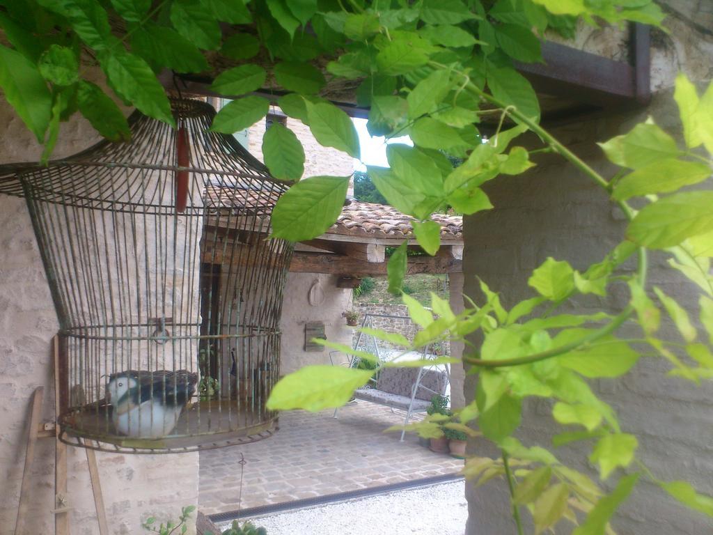 Poggio Dei Prugnoli Bed & Breakfast Tavoleto Exterior foto