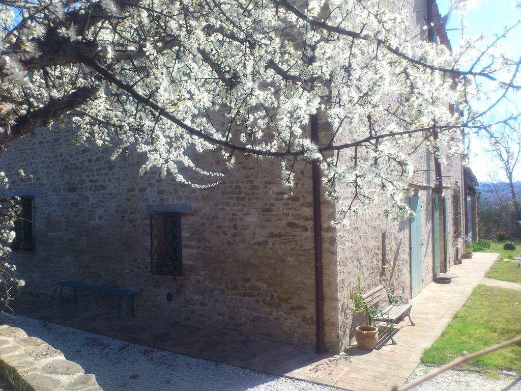 Poggio Dei Prugnoli Bed & Breakfast Tavoleto Exterior foto