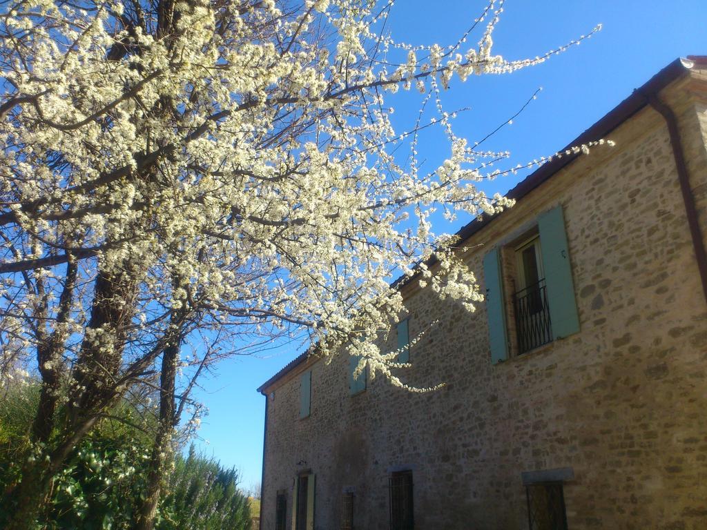 Poggio Dei Prugnoli Bed & Breakfast Tavoleto Exterior foto