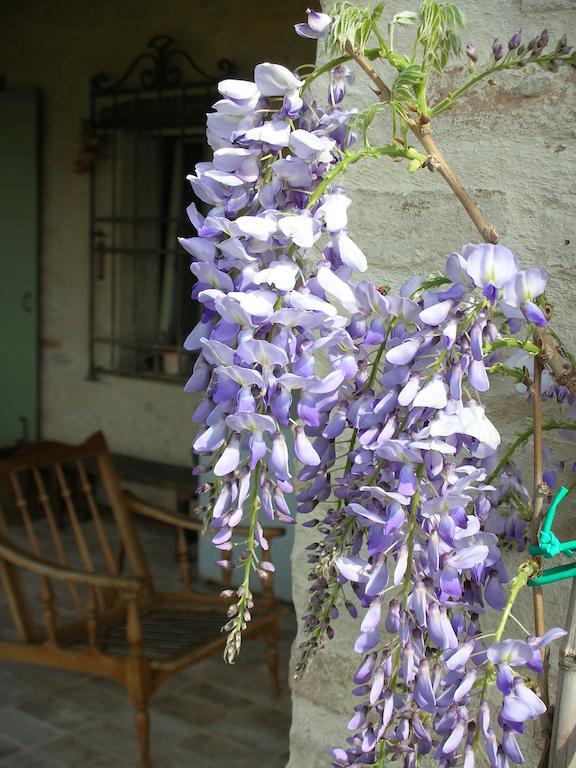Poggio Dei Prugnoli Bed & Breakfast Tavoleto Exterior foto