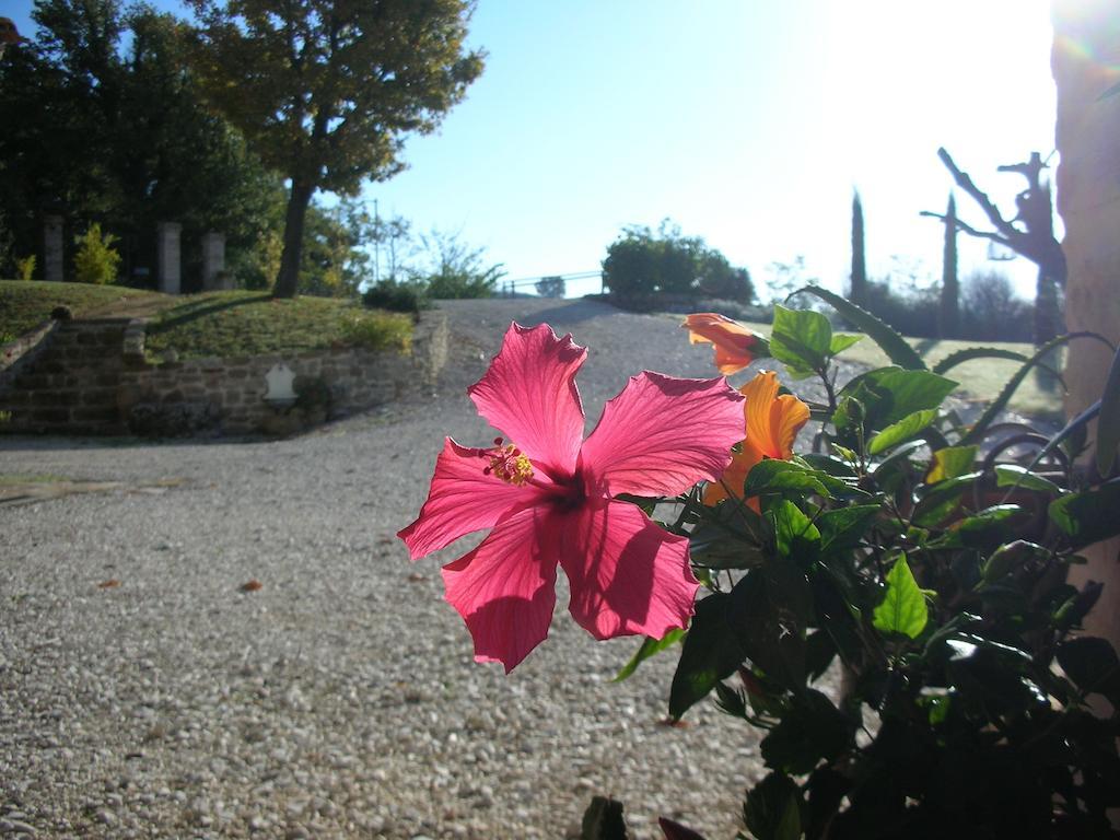 Poggio Dei Prugnoli Bed & Breakfast Tavoleto Exterior foto